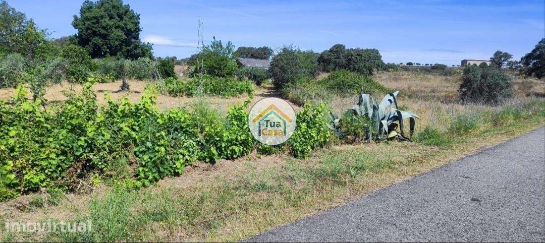 TERRENO MISTO COM ÁGUA NATURAL E APOIO AGRÍCOLA – TOULÕES - Grande imagem: 4/14