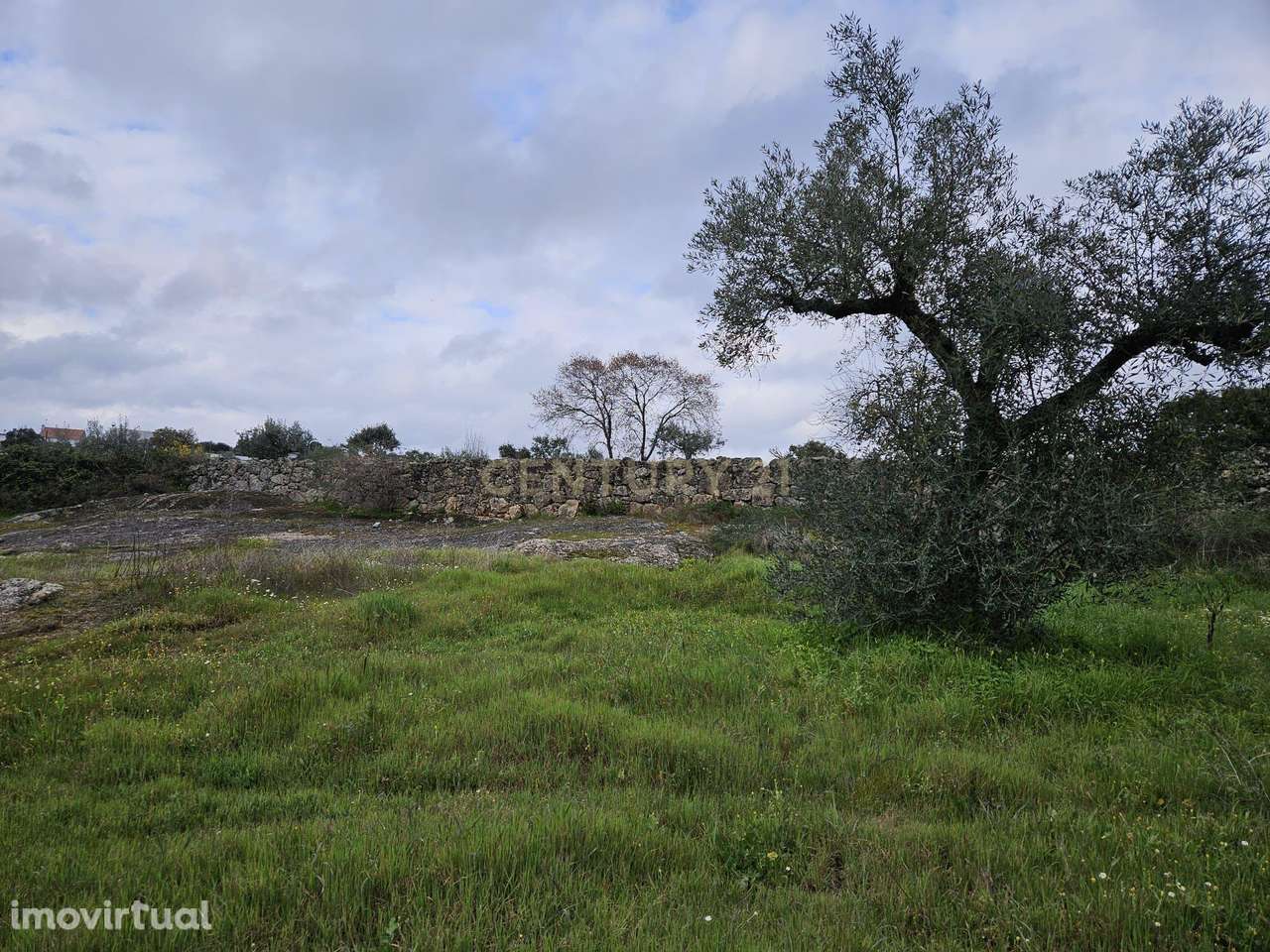 Quintinha na Lousa, Castelo Branco - Grande imagem: 5/41