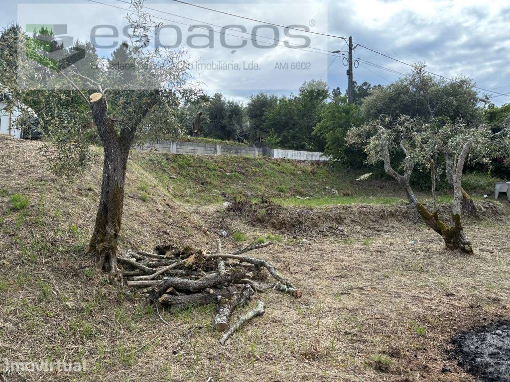 Terreno Urbano - Grande imagem: 4/11