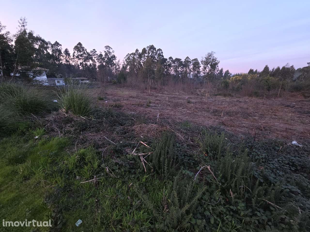 Fantásticos Terrenos com viabilidade de construção - Grande imagem: 5/7