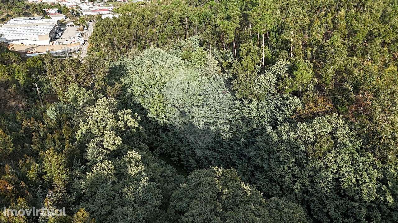 Terreno  para venda - Grande imagem: 5/9