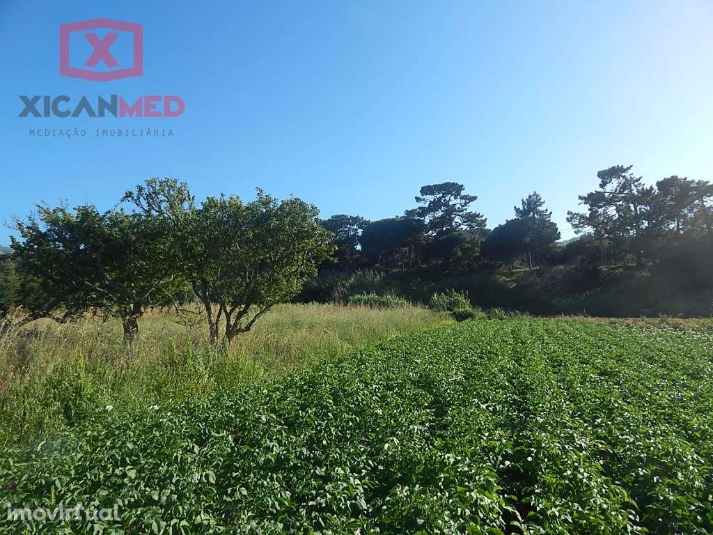 Colares, Terreno Agro florestal - Grande imagem: 5/7