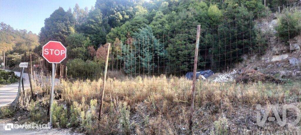 Terreno para construção em Luzim e Vila Cova de 3630,00 m2 - Grande imagem: 2/23