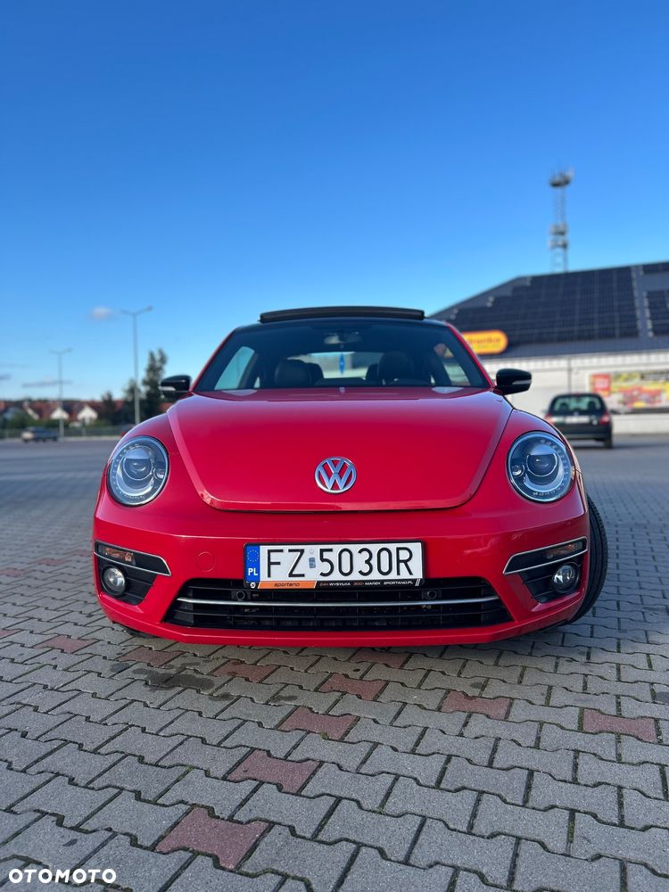 Volkswagen Beetle - 2