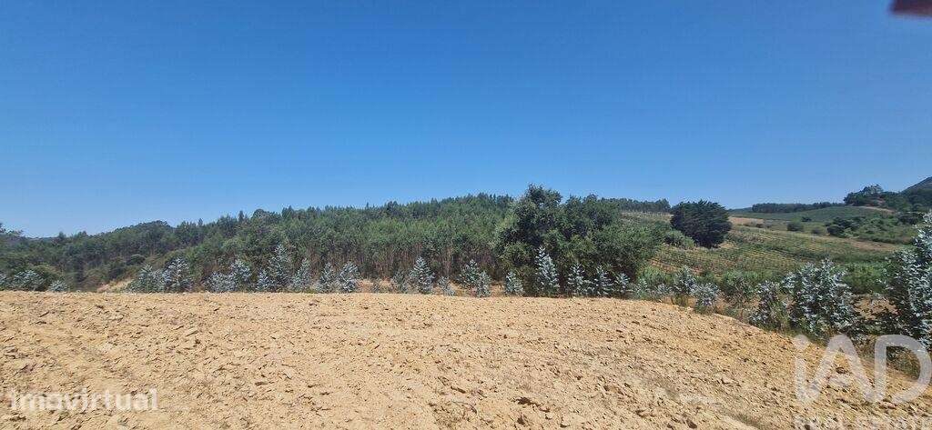 Terreno em Azueira e Sobral da Abelheira de 26562,00 m2 - Grande imagem: 5/29