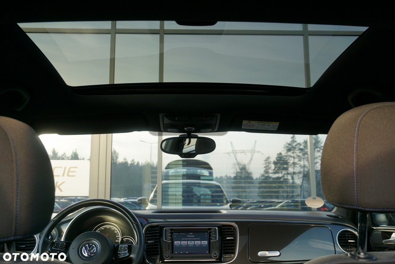 Volkswagen Beetle - 10