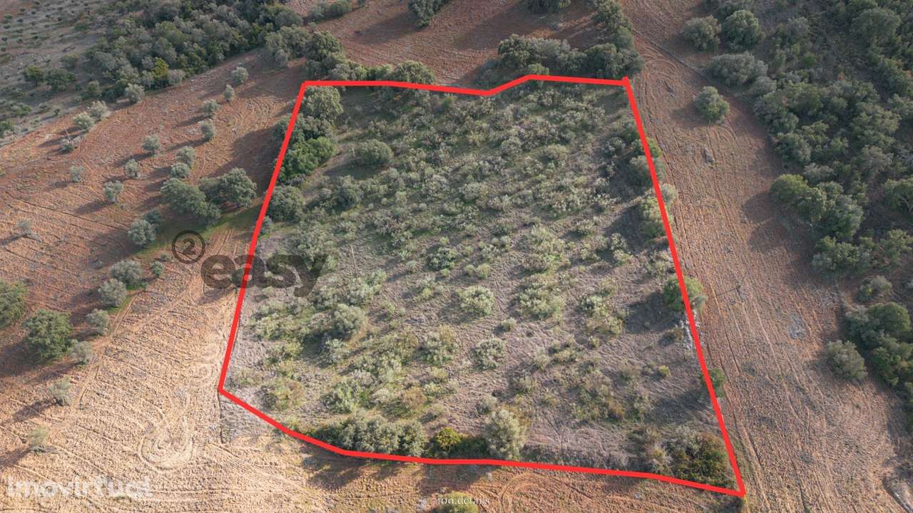 Terreno Rústico em Vila De Frades - Grande imagem: 2/4