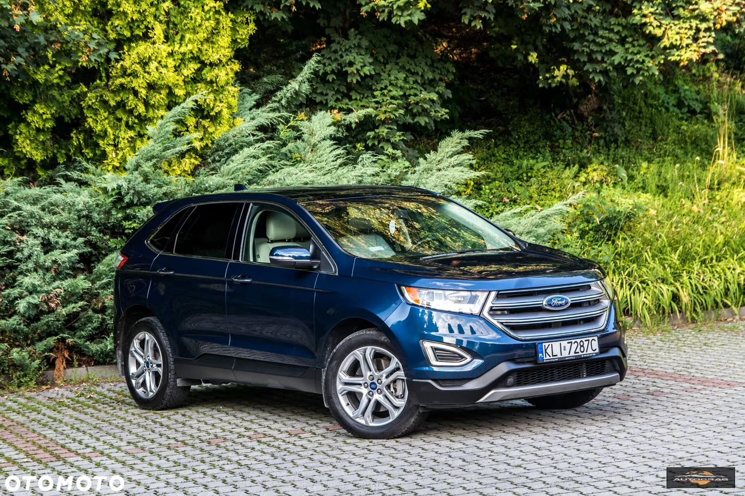 Ford Edge - 8