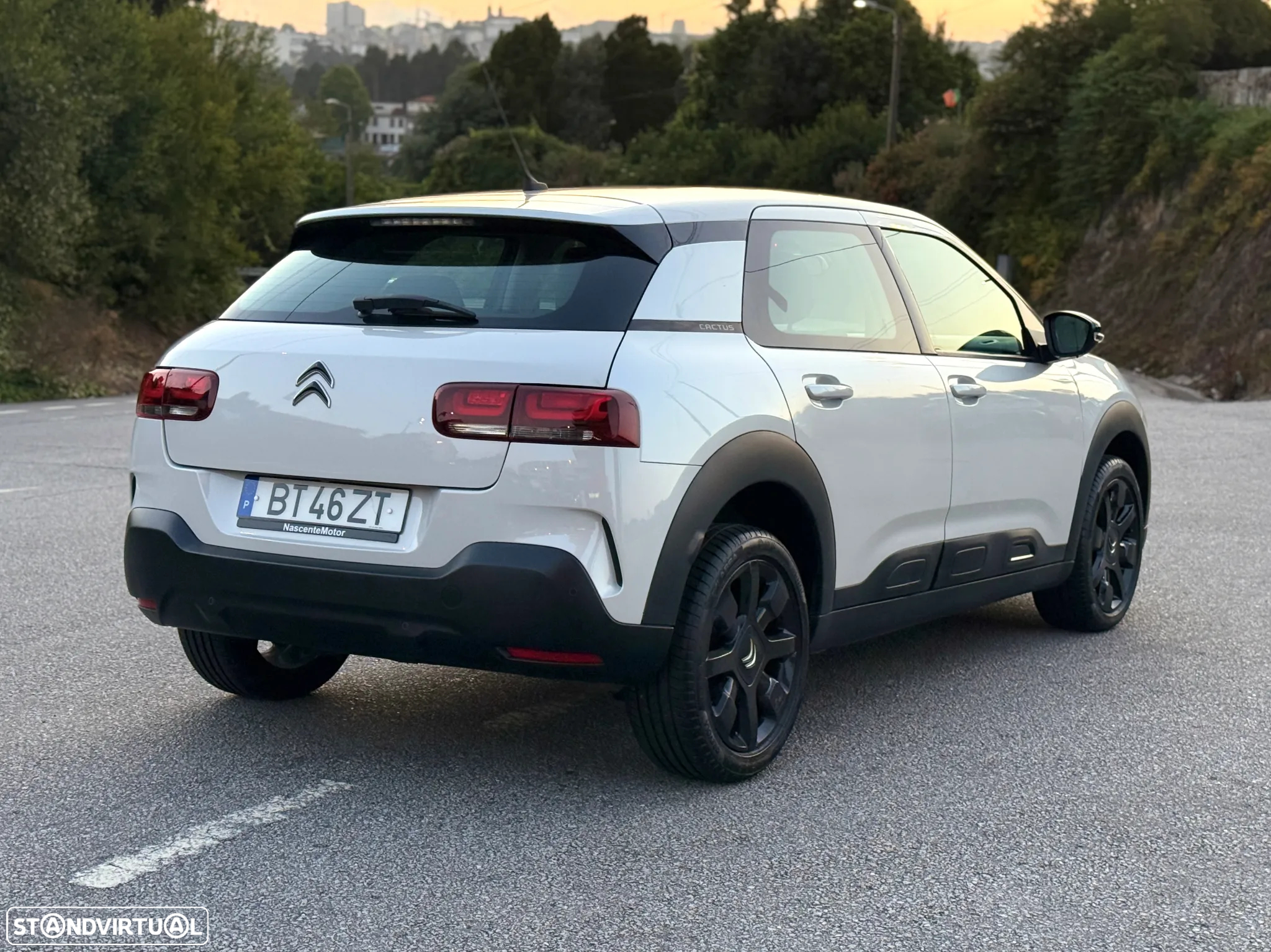 Citroën C4 Cactus 1.2 PureTech Shine EAT6 - 14