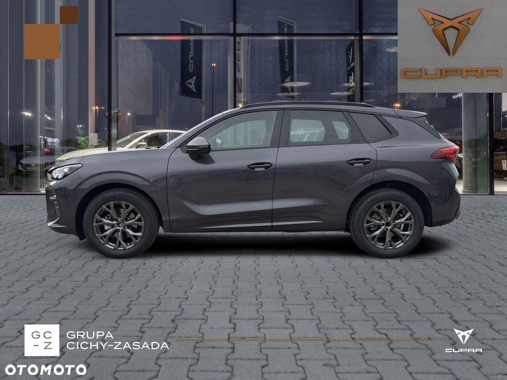 Cupra Terramar - 4