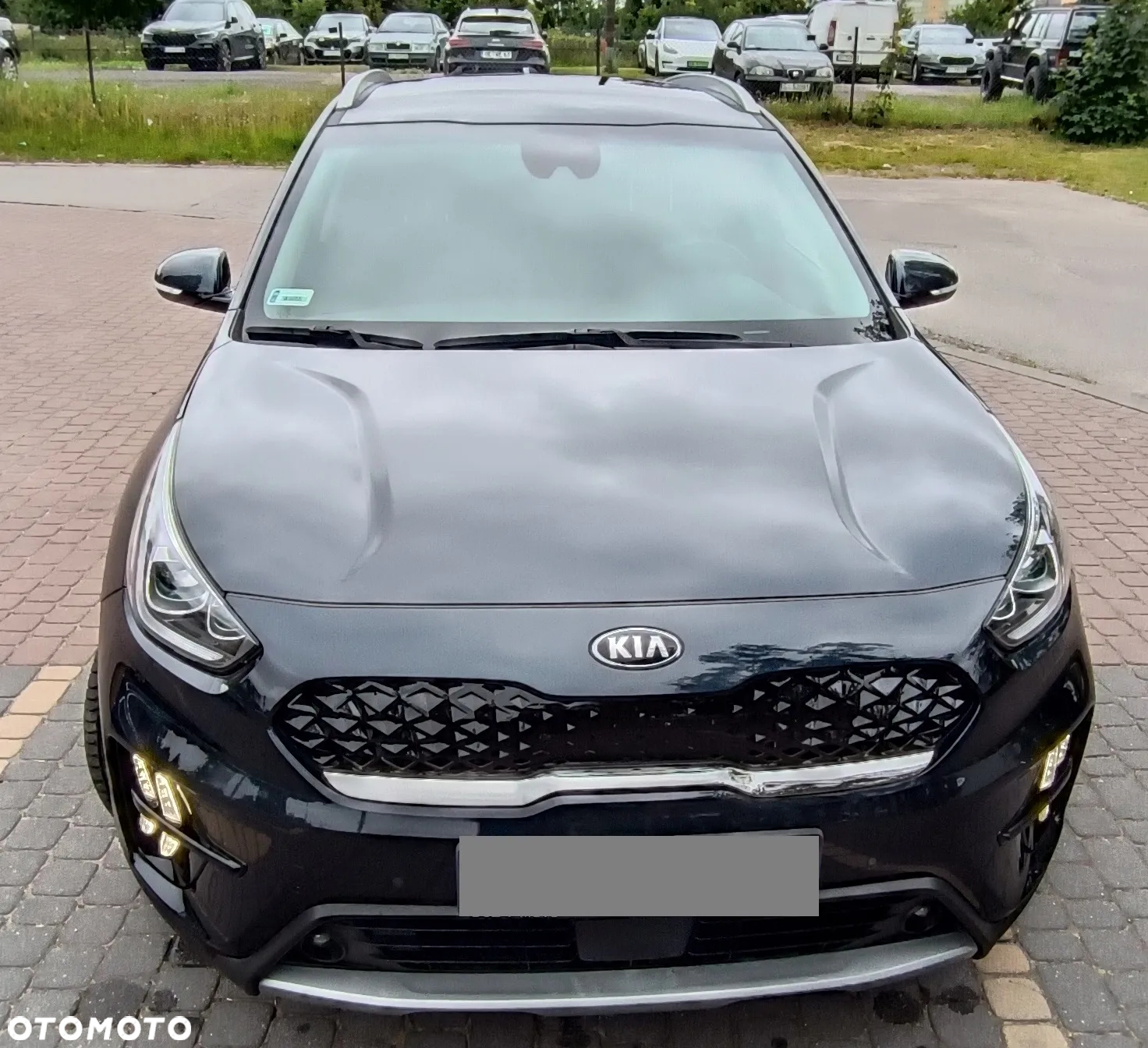Kia Niro 1.6 GDI Hybrid L Business Line - 4
