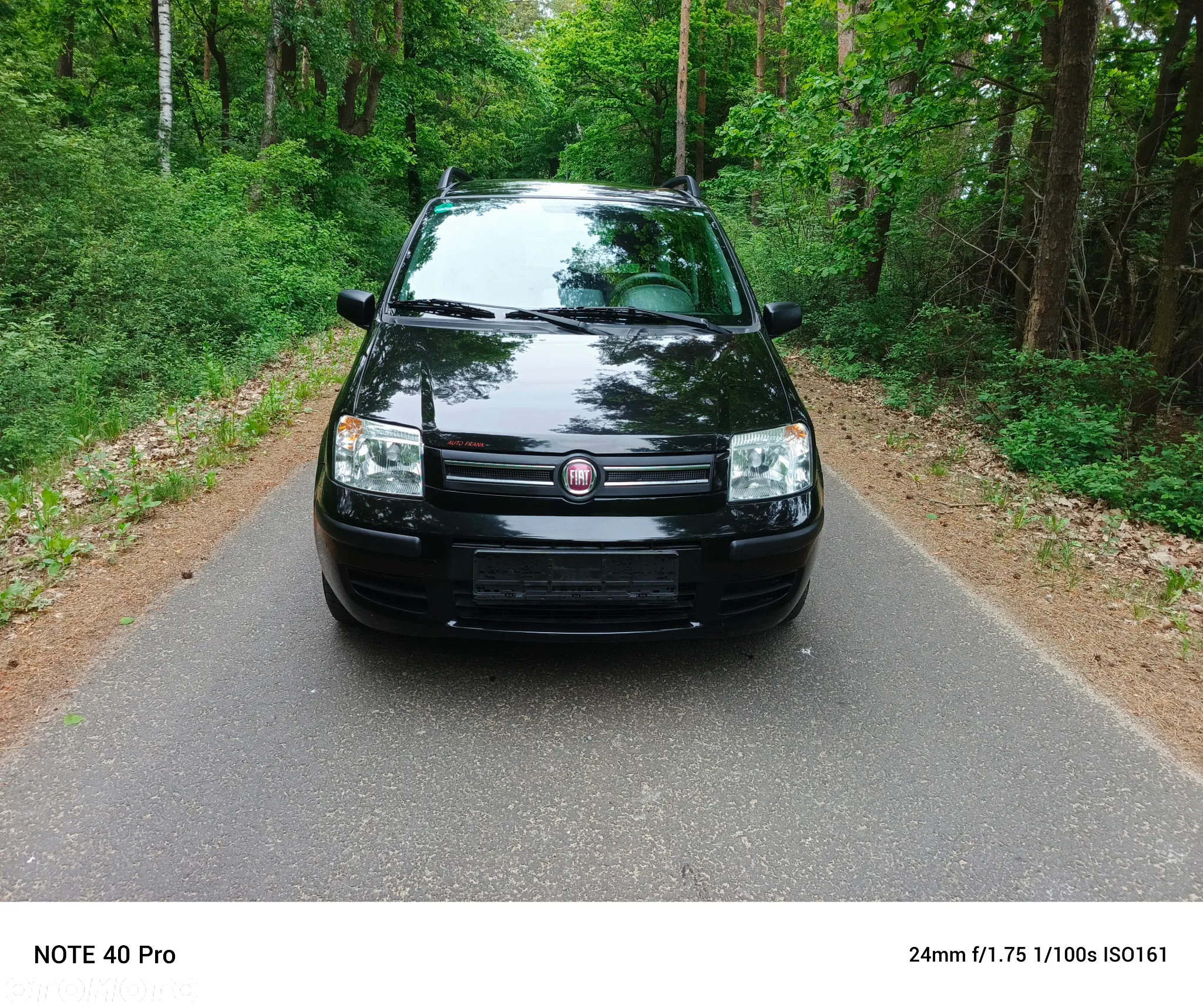 Fiat Panda 1.2 Dynamic Plus - 2