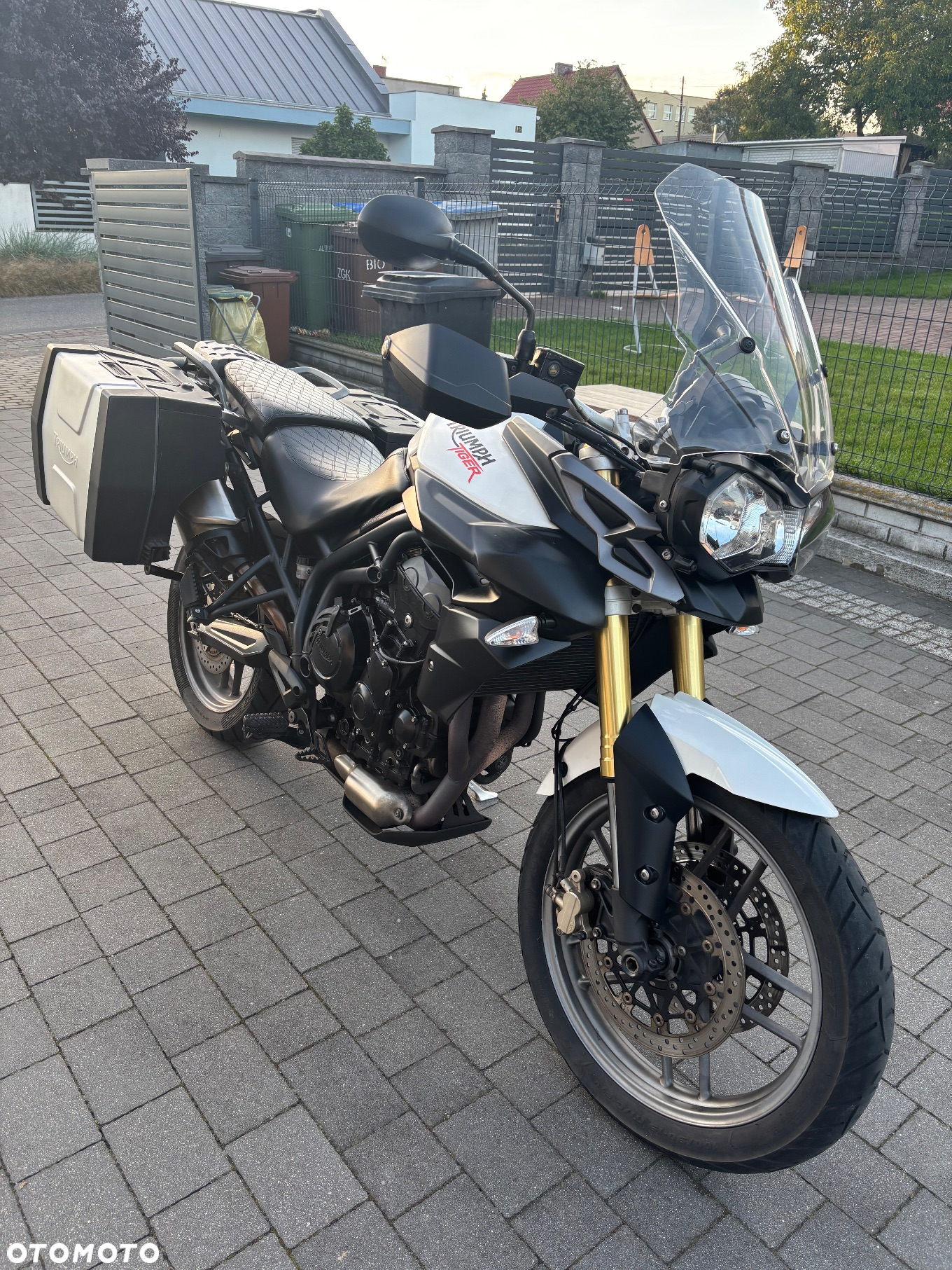 Triumph Tiger - 5