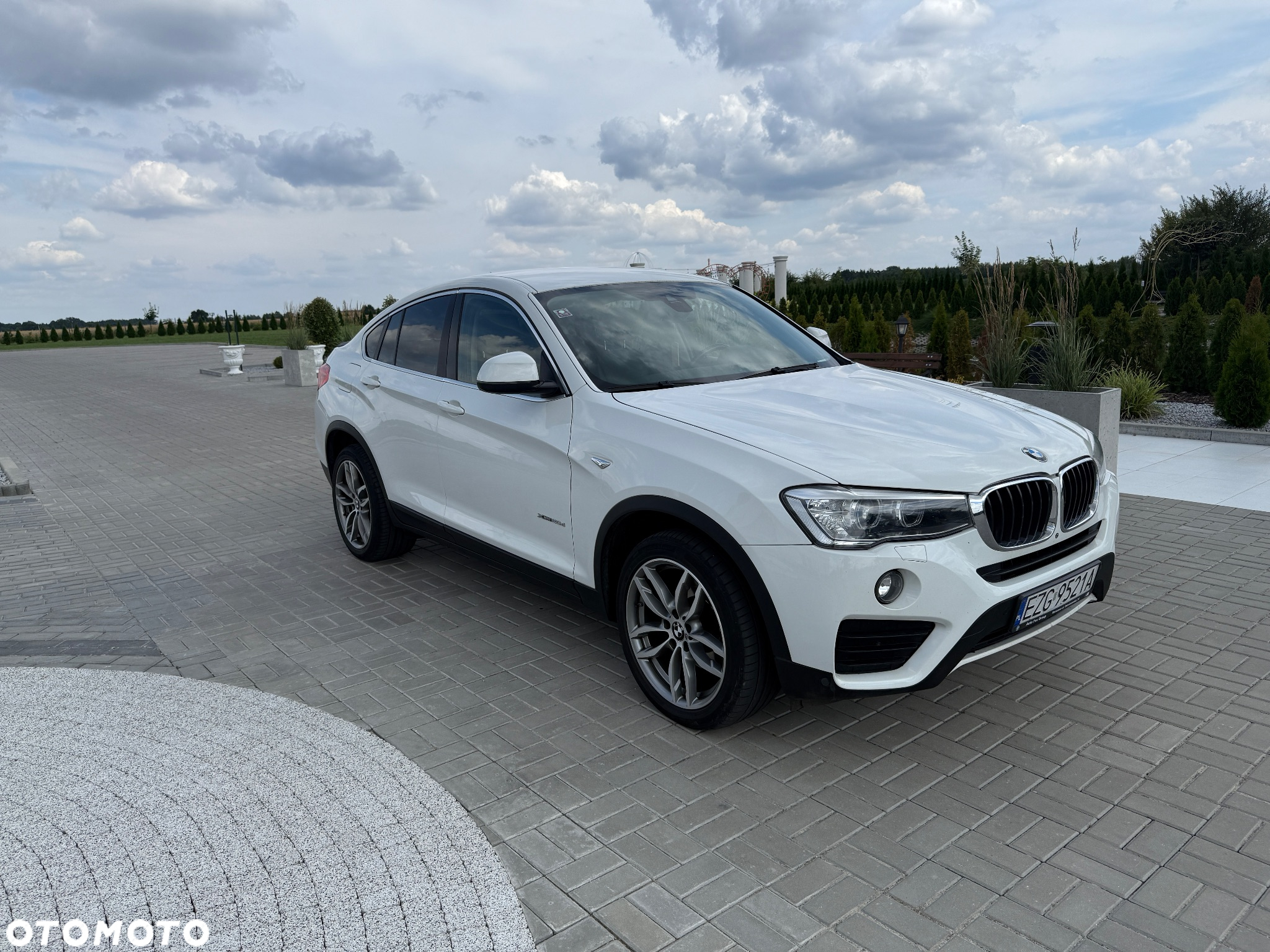 BMW X4 xDrive20d Advantage sport - 5