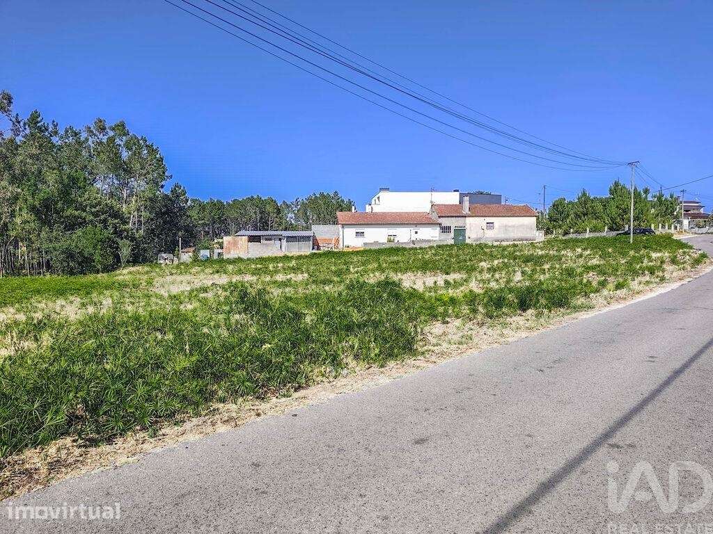 Terreno Agrícola em Maceira - Grande imagem: 5/10