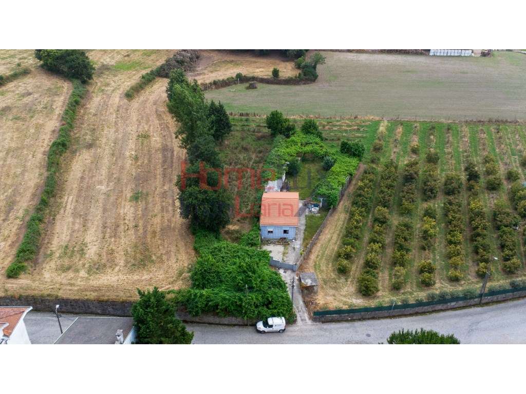 Terreno Rústico em Águas Santas - Grande imagem: 4/17