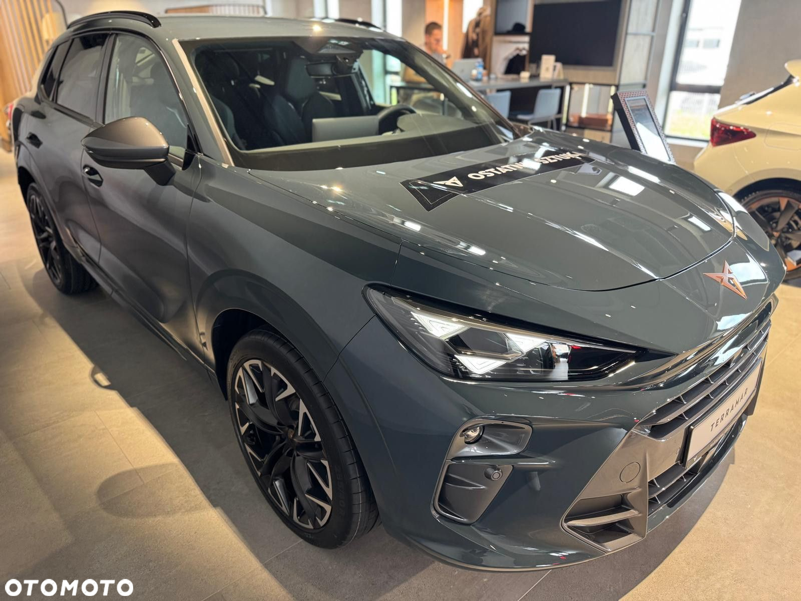 Cupra Terramar - 3