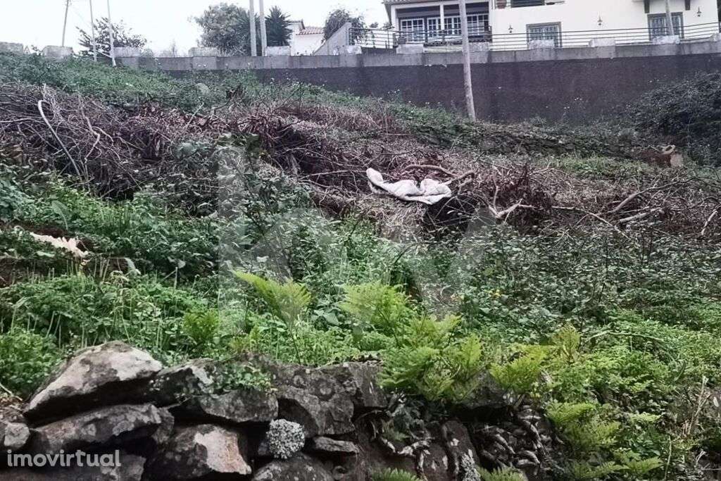 TERRENO PARA CONSTRUÇÃO - SALÃO - GAULA - Grande imagem: 3/12