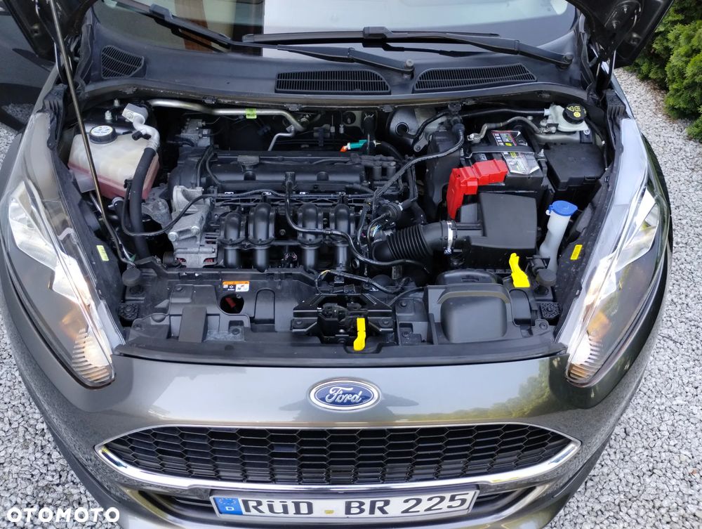 Ford Fiesta 1.25 Champions Edition - 16