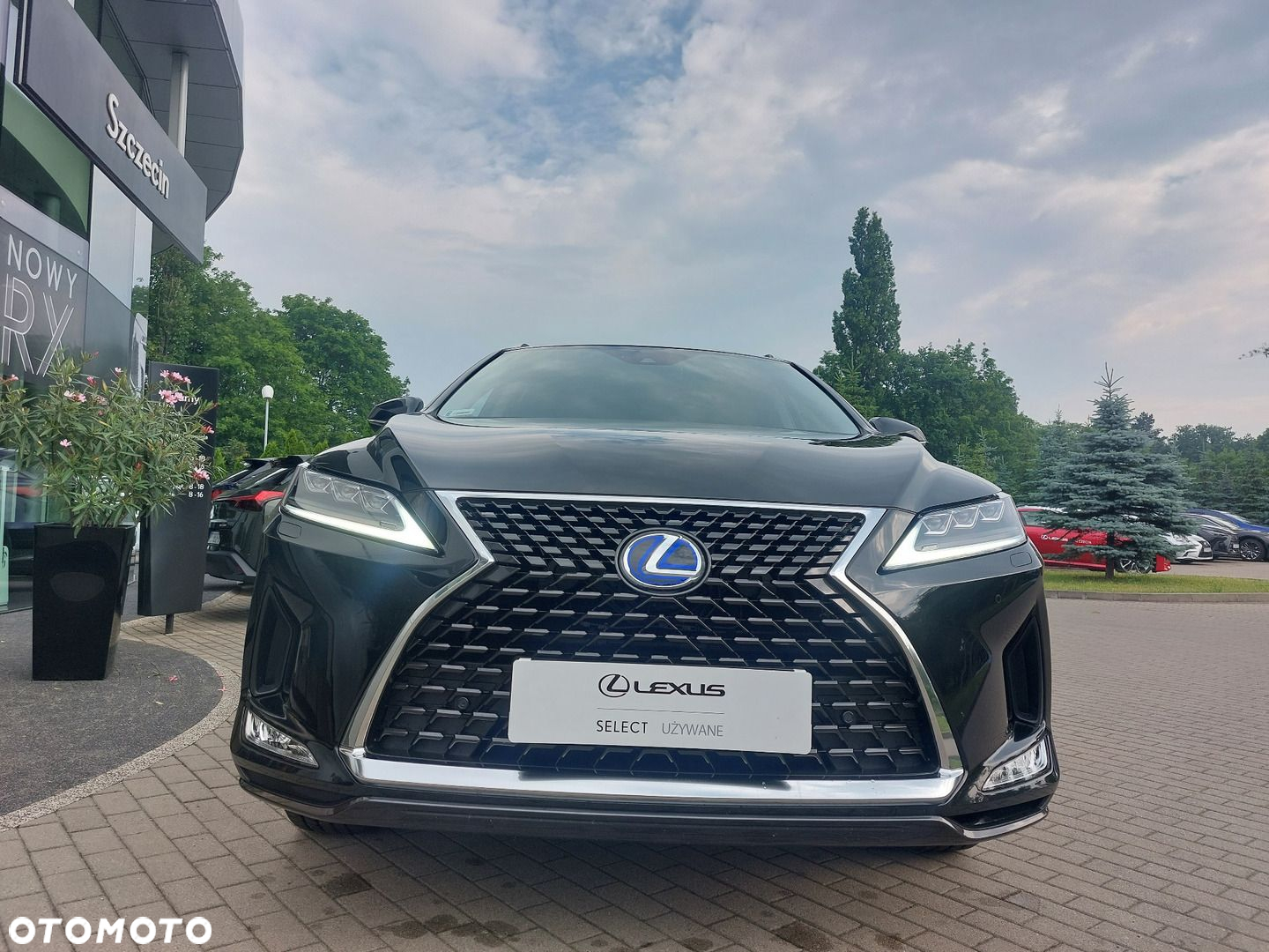 Lexus RX 450h F-Impression - 7