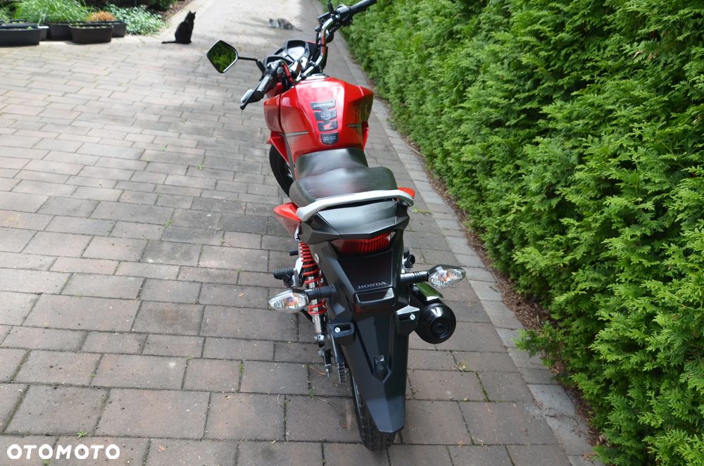 Honda CBF - 8