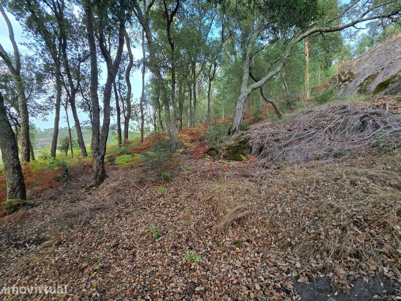Terreno para Construção com 2.182m2 em São Mamede de Negrelos, Santo T - Grande imagem: 5/8