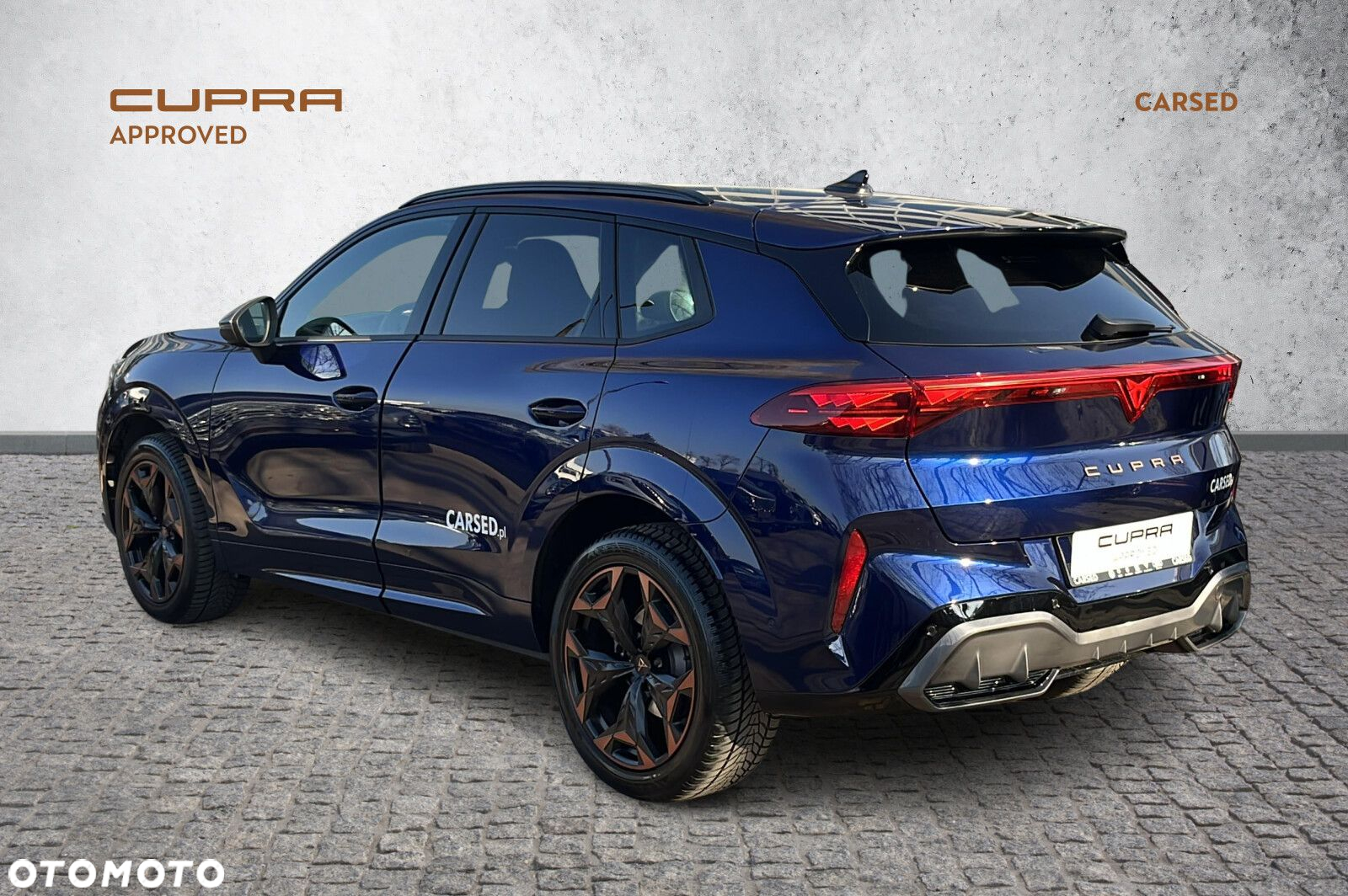 Cupra Terramar - 3