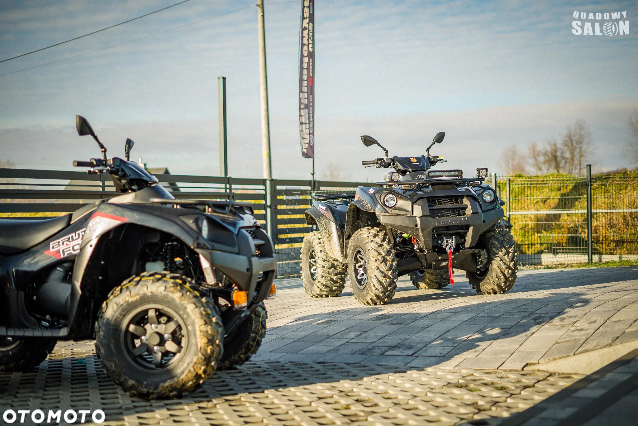 Kawasaki Brute Force - 22