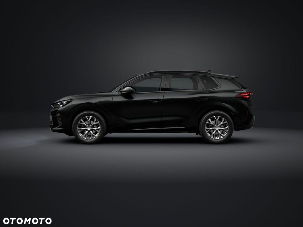 Cupra Terramar - 3