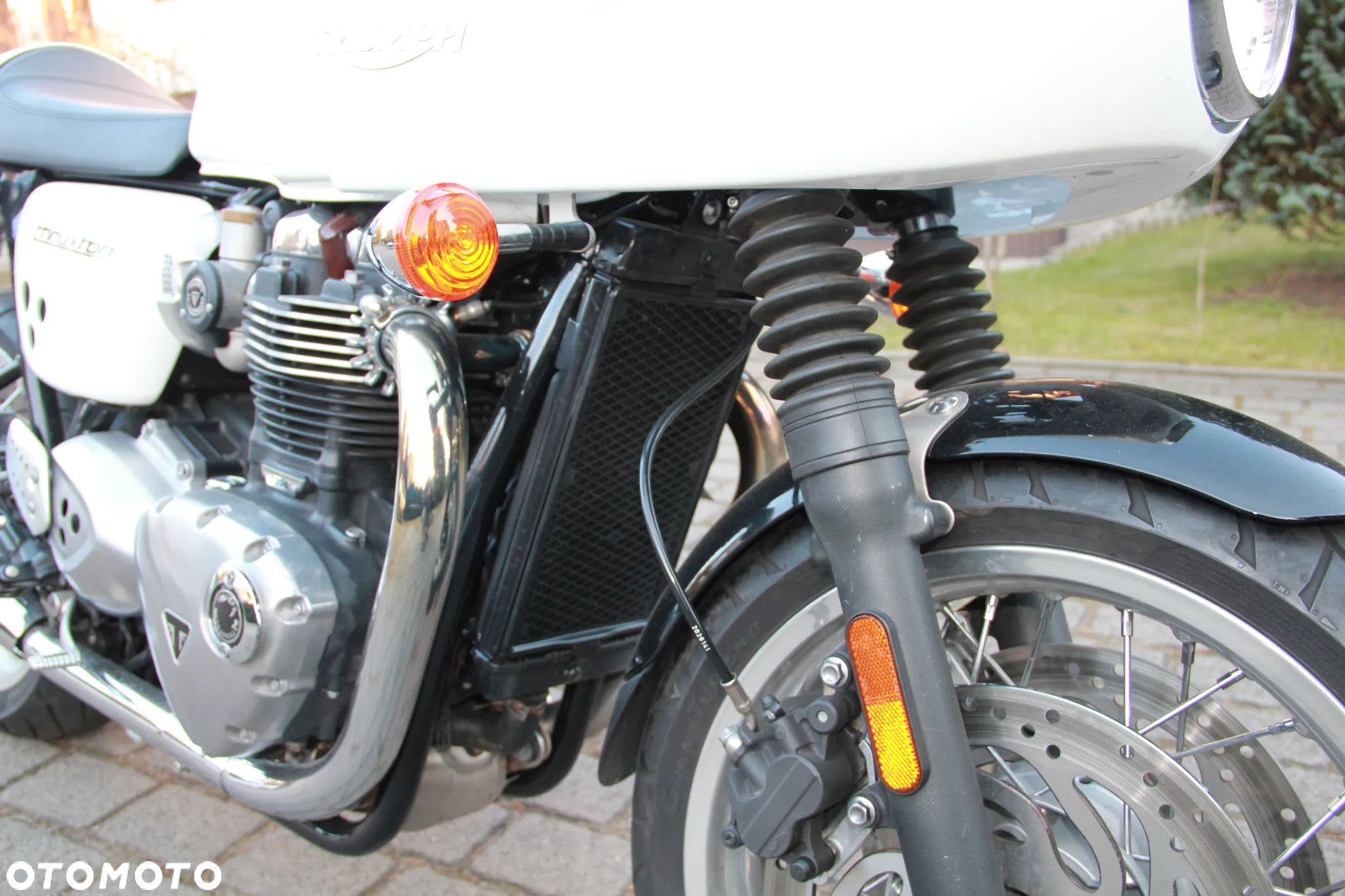 Triumph Thruxton - 9