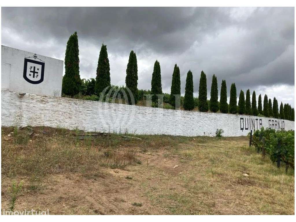 Quinta com 9 hectares, no Alto Douro Vinhateiro, Porto - Grande imagem: 3/22