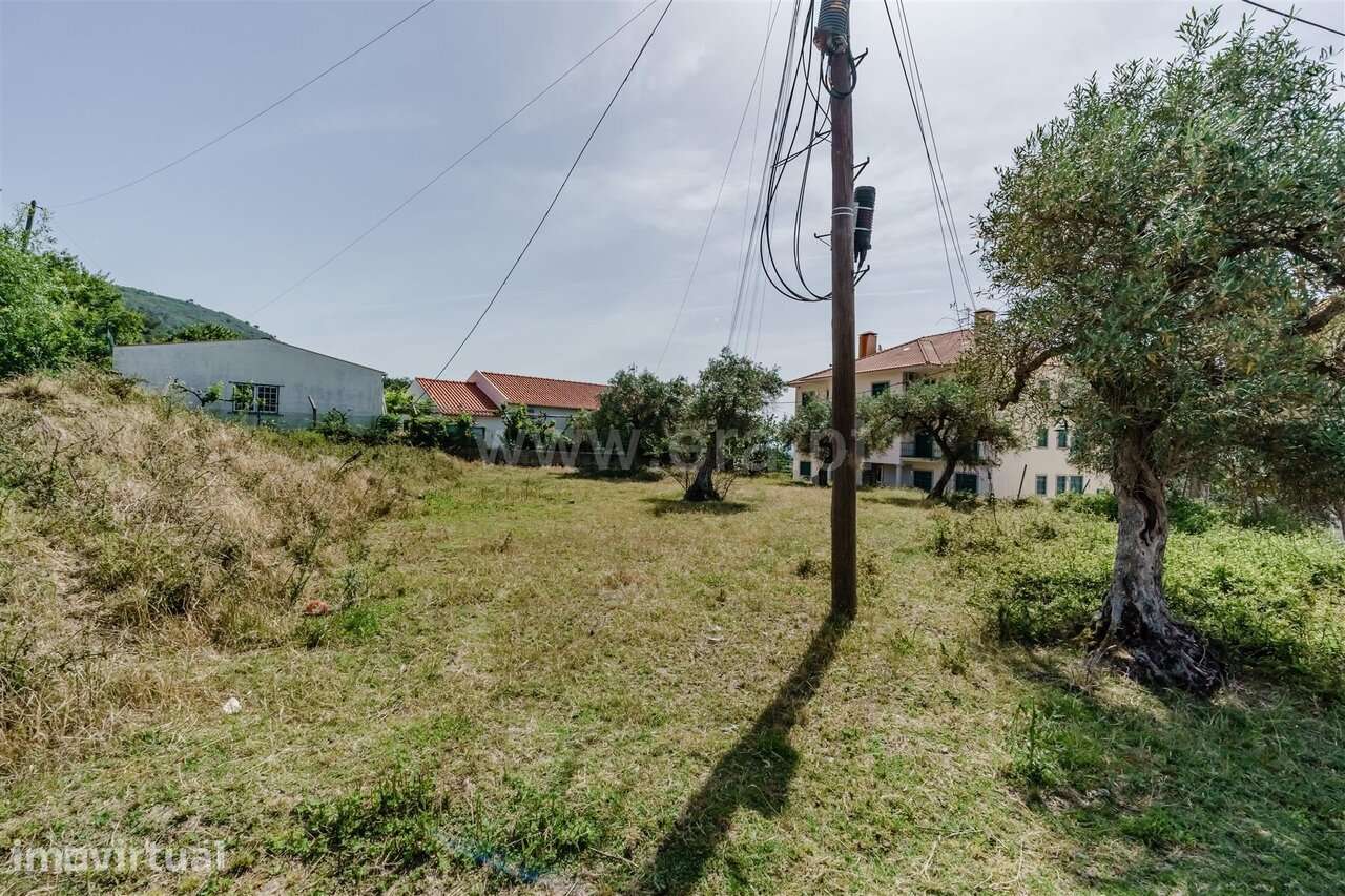 Lote / Fundão, Alpedrinha - Grande imagem: 5/9