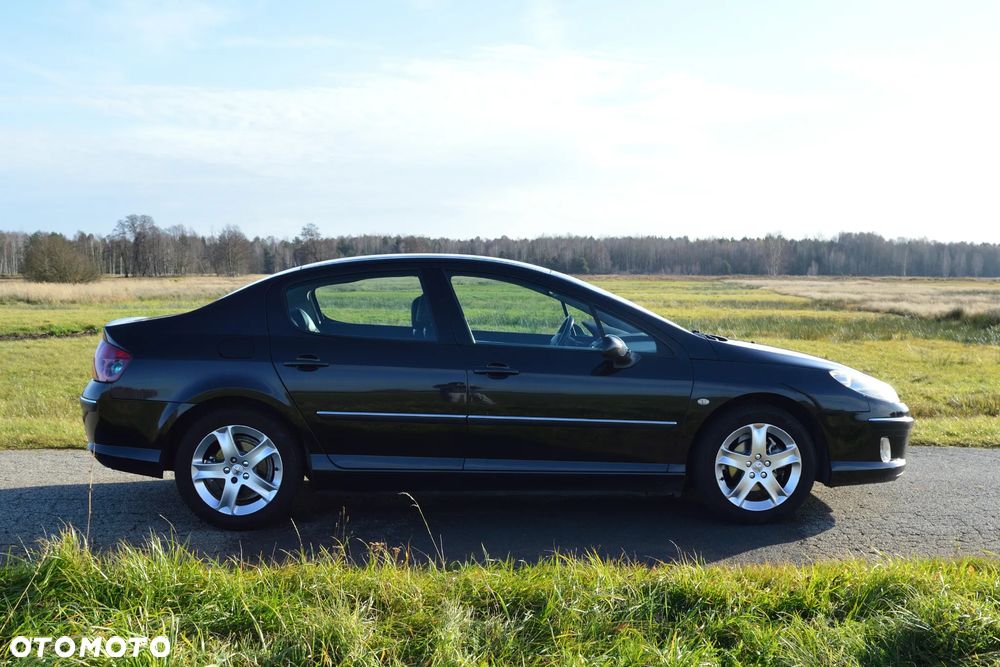 Peugeot 407 - 5
