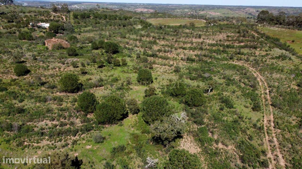 Terreno Monte Alentejano com 6,27 ha, Artigo Urbano 120 m² e Montado d - Grande imagem: 5/22