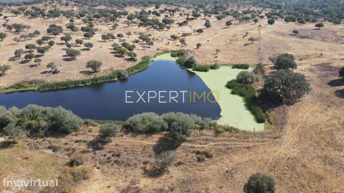 Herdade com 81,79 ha - Mora - Grande imagem: 3/11