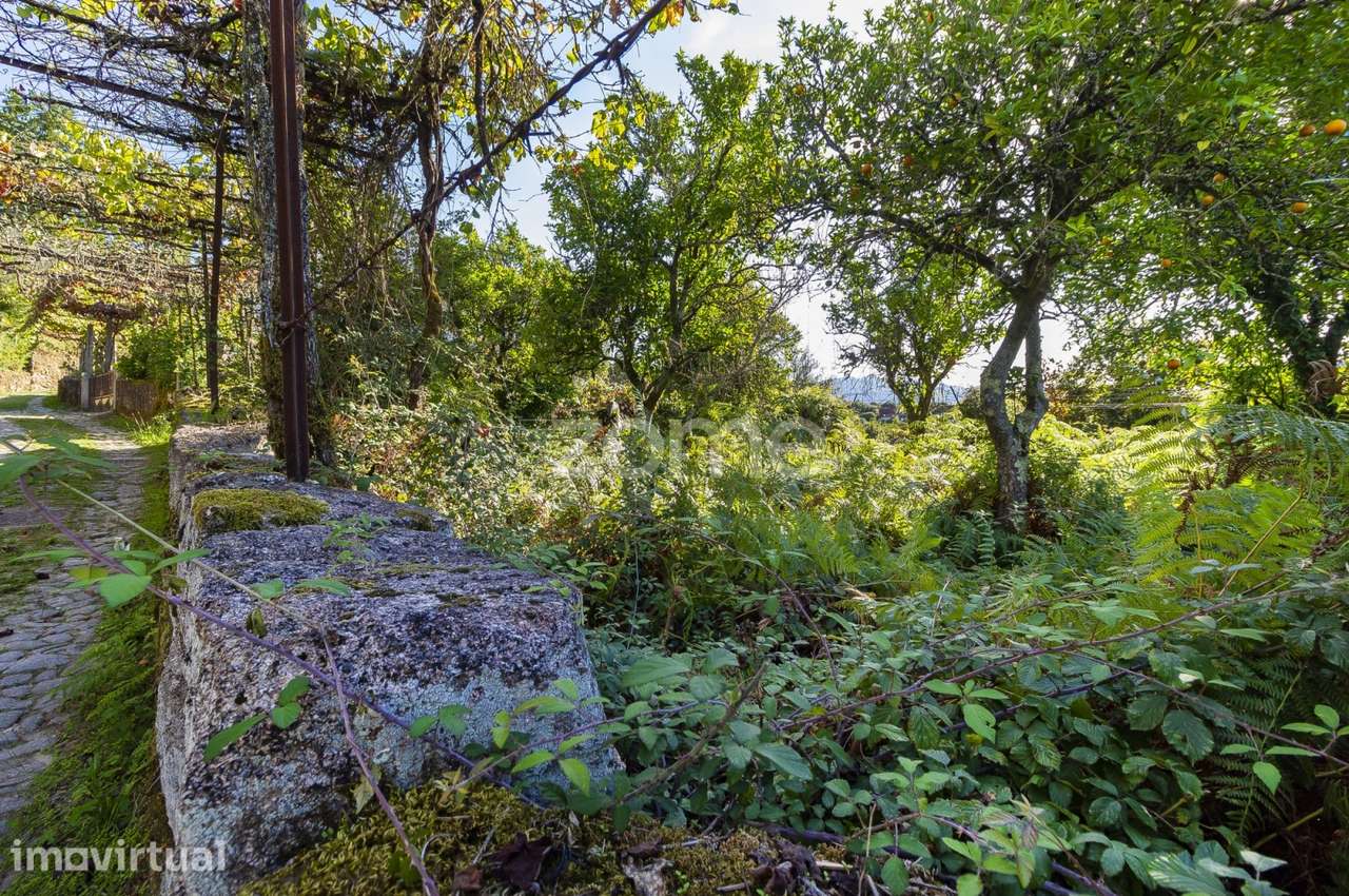 Terreno rústico com 1.760 m2 em Britelo, Ponte da Barca - Grande imagem: 5/14