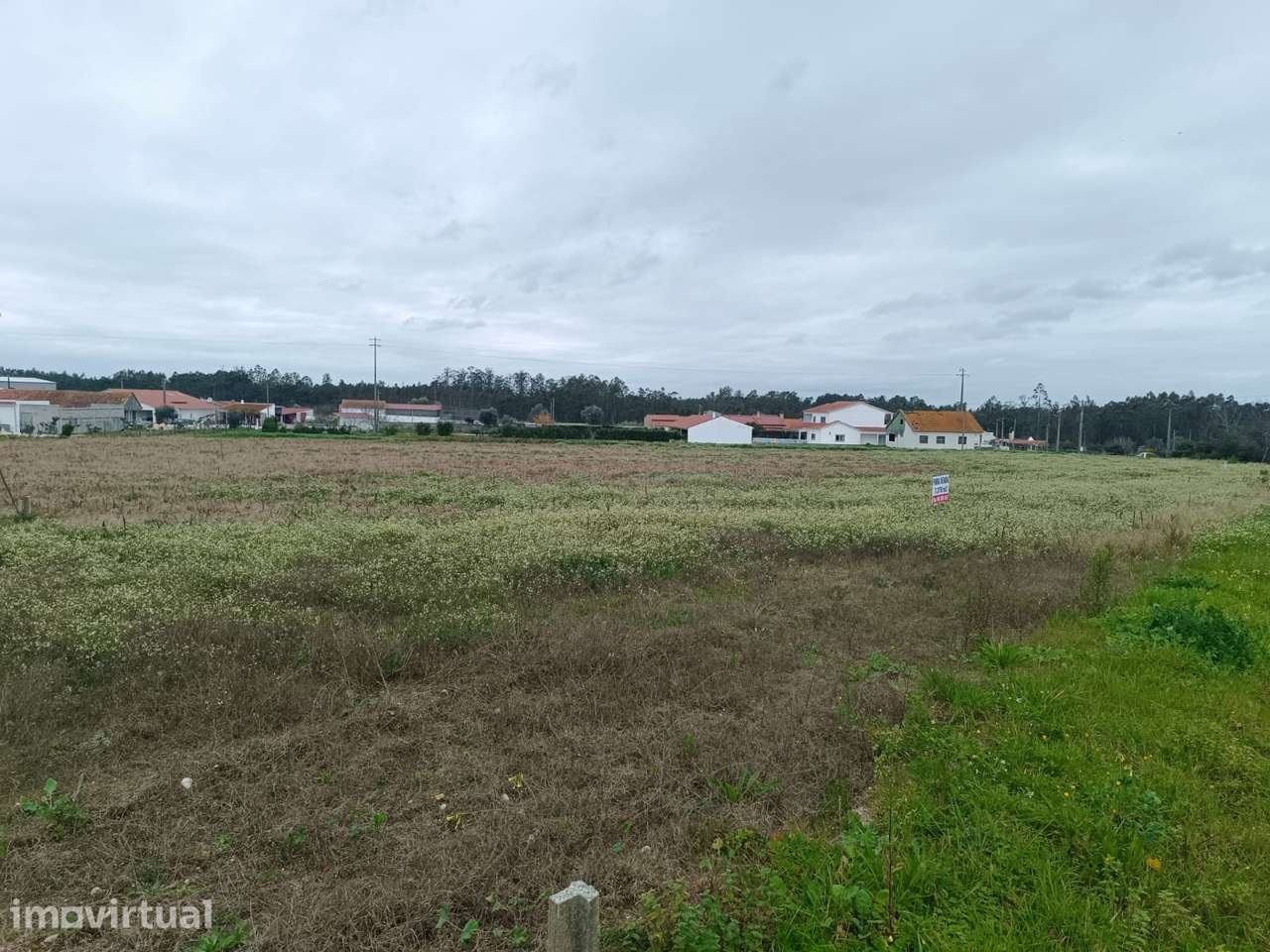 Terreno  Venda em Louriçal,Pombal - Grande imagem: 4/6