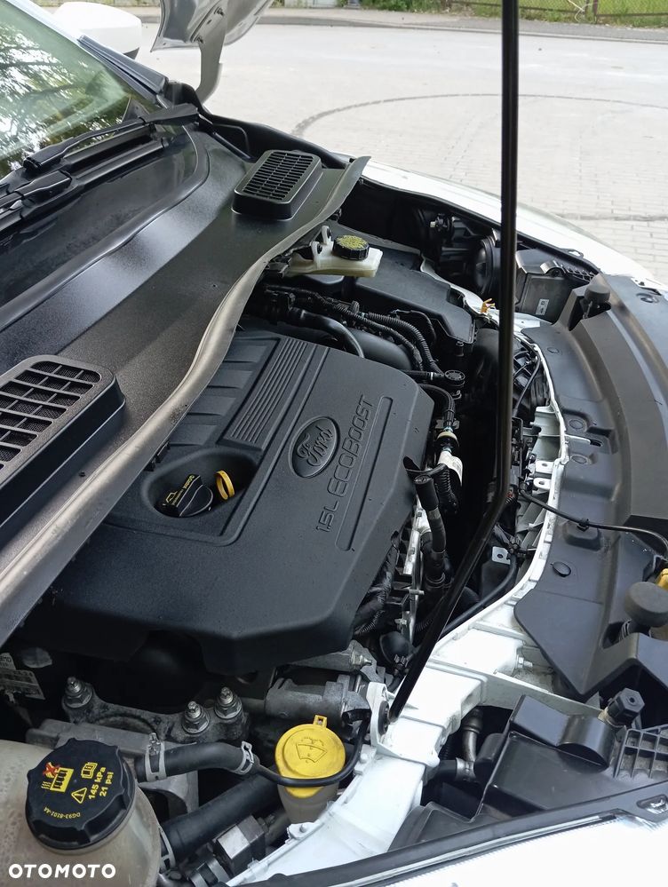 Ford Escape 1.5 EcoBoost AWD SE - 7