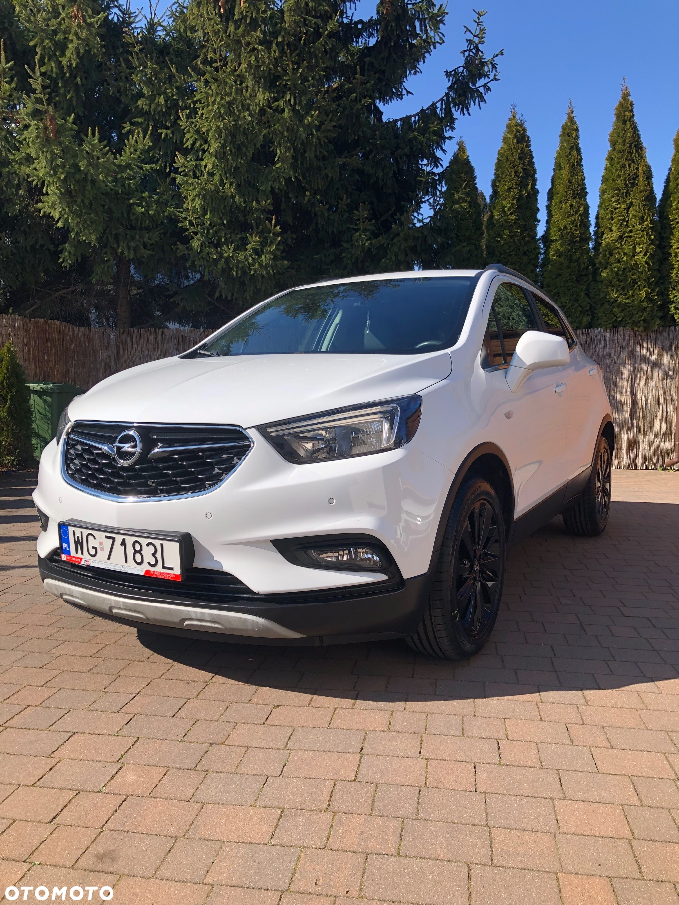 Opel Mokka 1.6 CDTI Cosmo S&S - 2