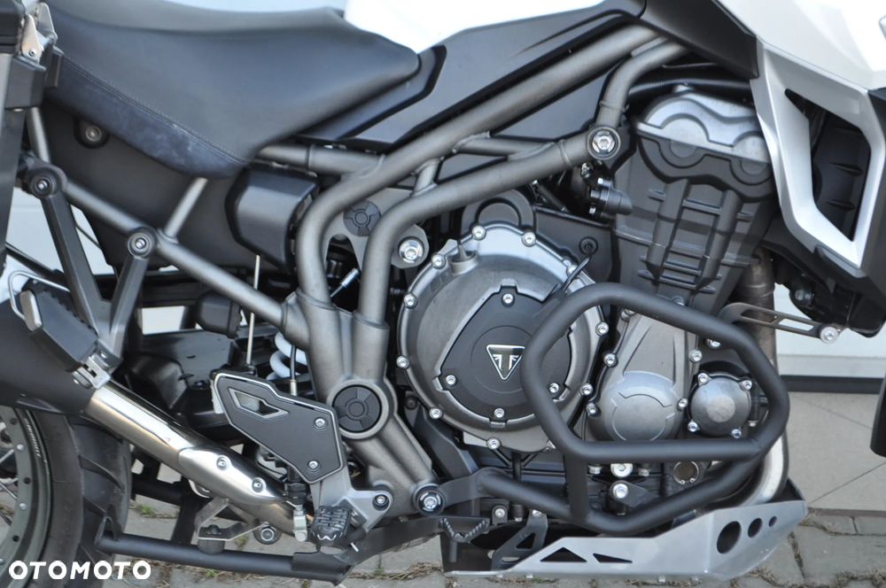 Triumph Tiger - 15