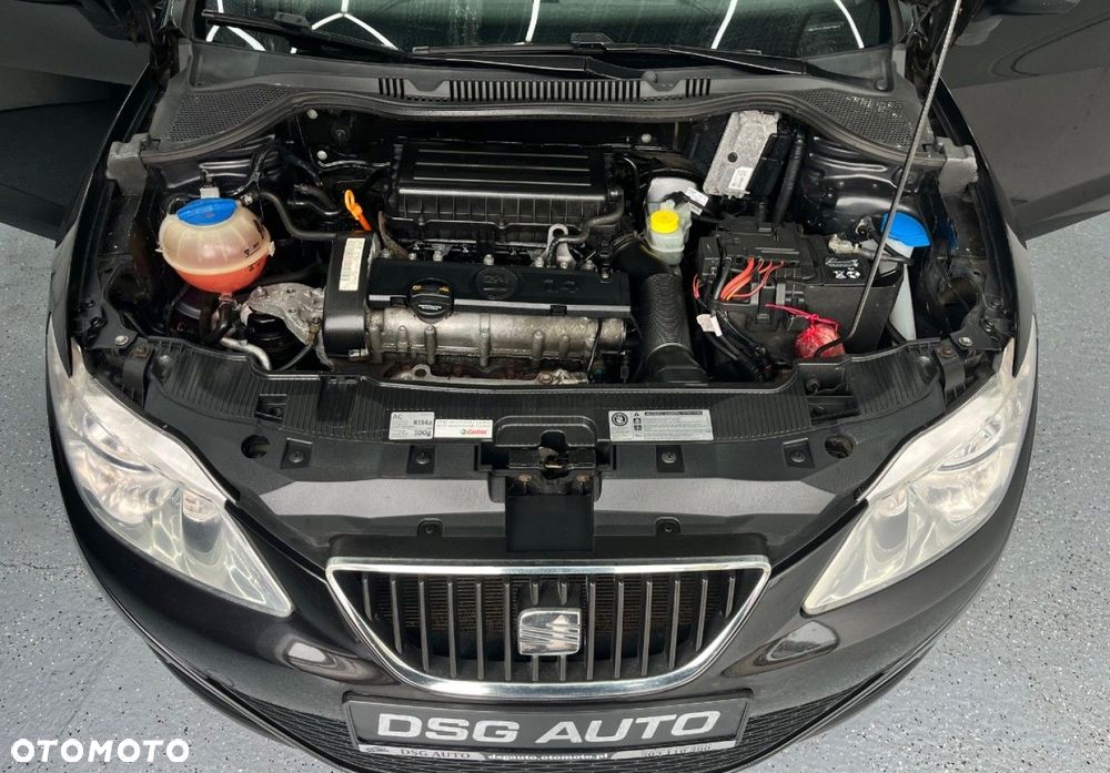 Seat Ibiza - 38
