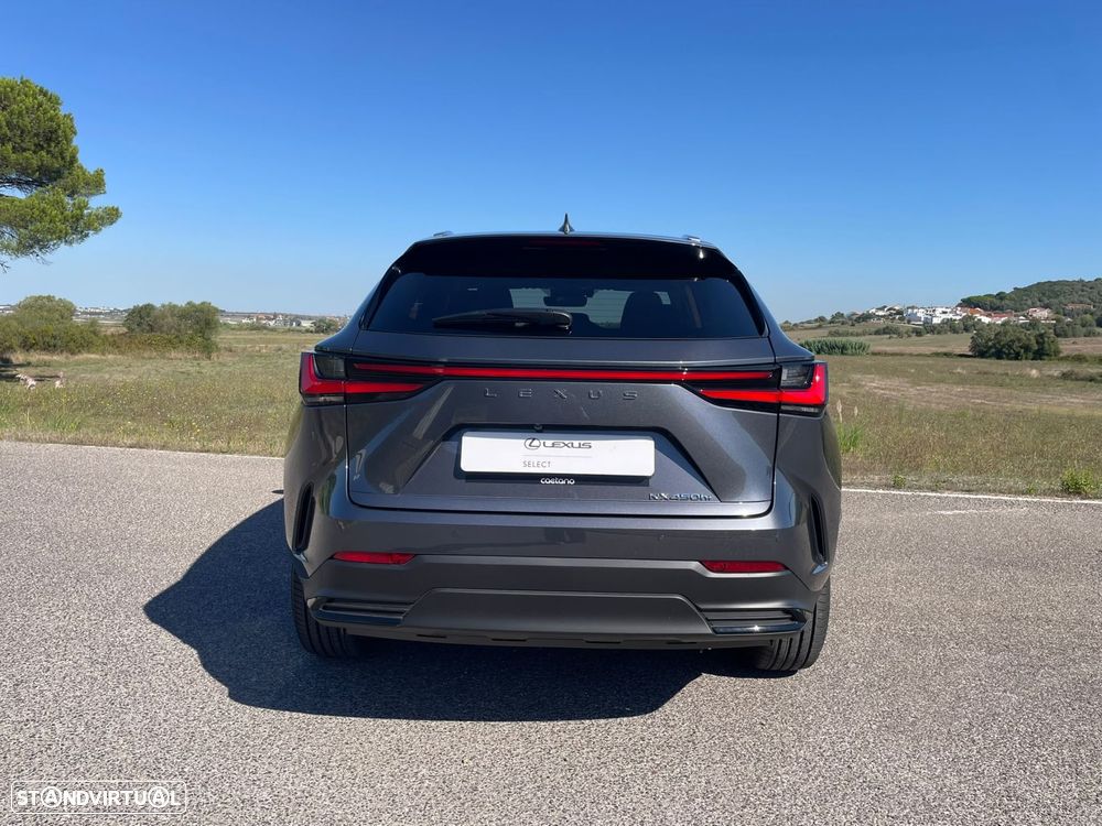 Lexus NX 450h+ Executive Plus - 7