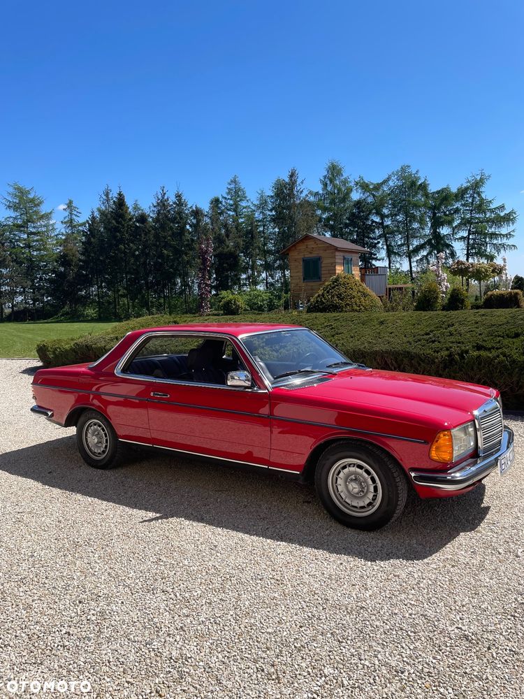 Mercedes-Benz W123 - 19