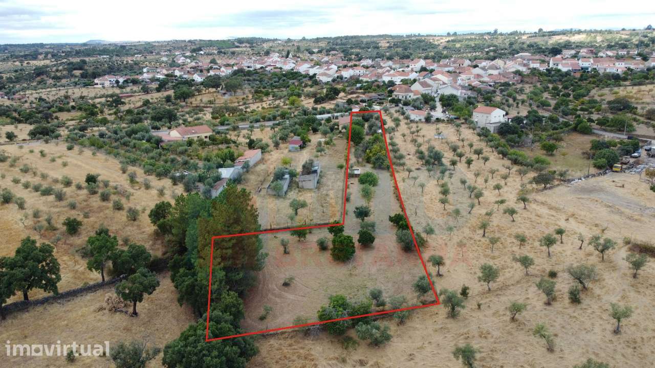 Quinta em Mata - Castelo Branco - Grande imagem: 2/28