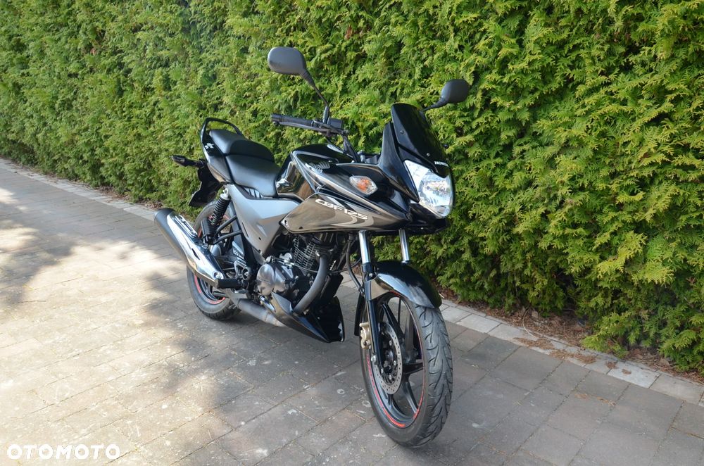 Honda CBF - 6