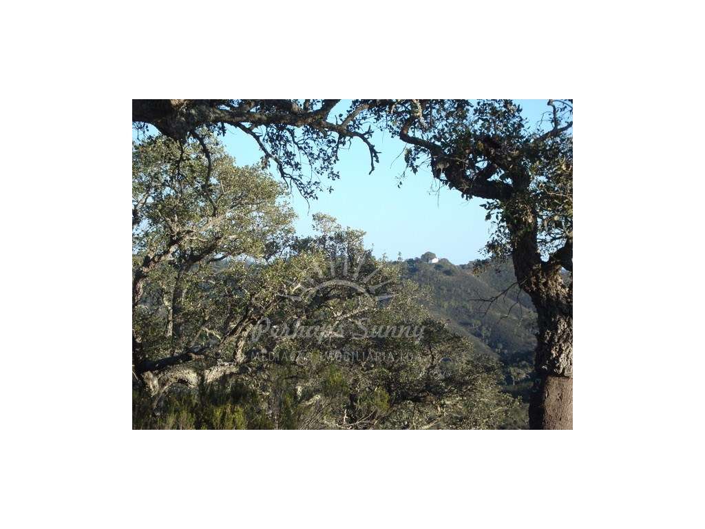 Herdade - Ribeira da Seisseira (Colos / Odemira) - Grande imagem: 2/23