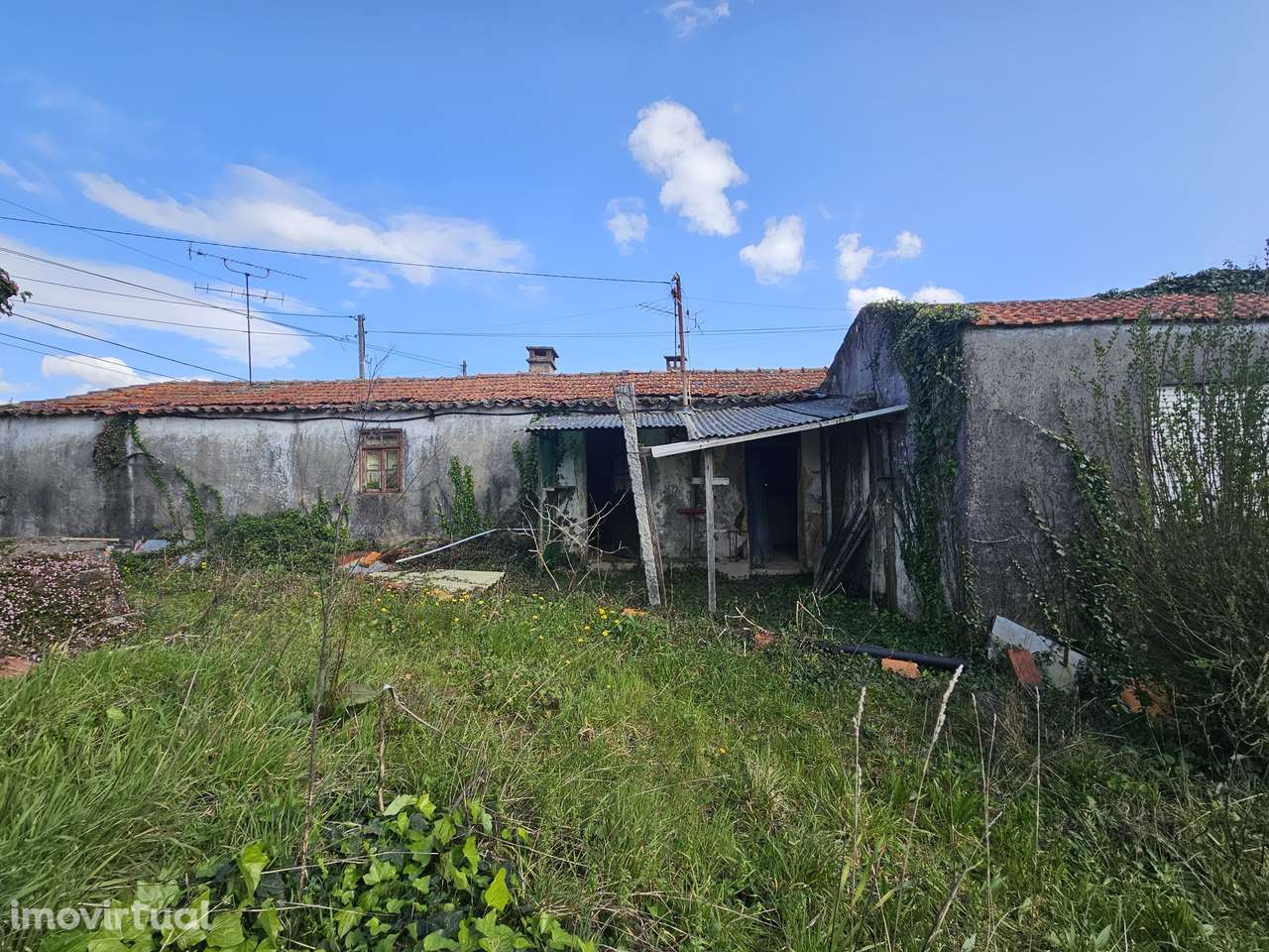 Moradia Térrea para Restaurar em Nogueira do Cravo OAZ - Grande imagem: 2/20