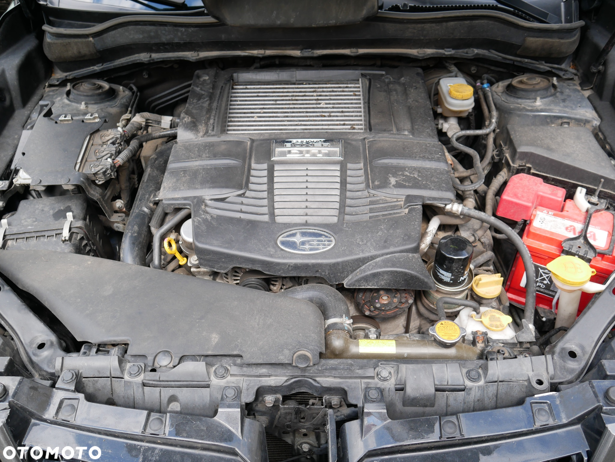 Subaru Forester 2.0 XT Platinum Lineartronic - 5