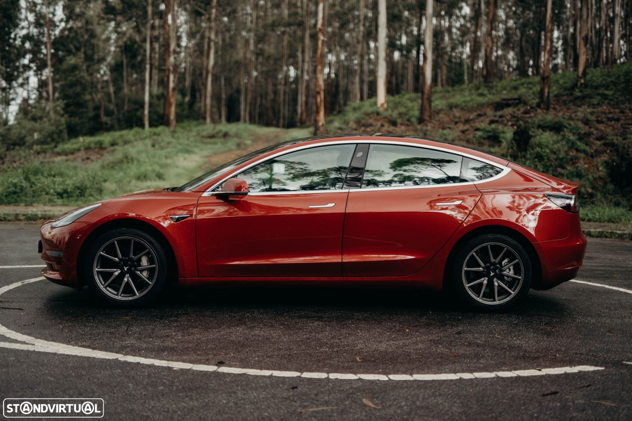 Tesla Model 3 Long-Range Dual Motor AWD - 6