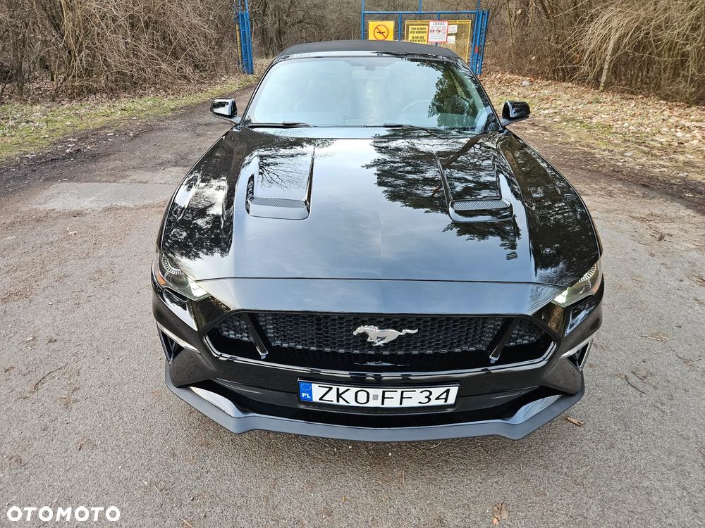Ford Mustang - 15